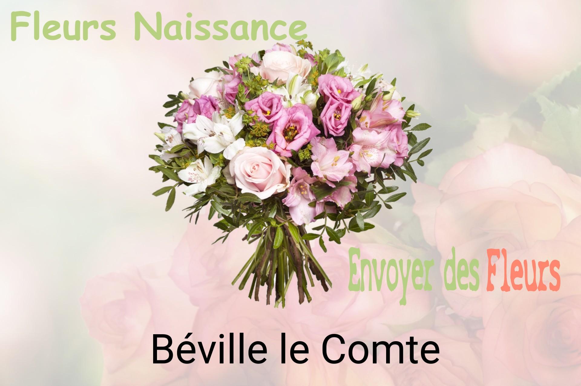 Bouquet de fleurs de naissance livré à Béville-le-Comte